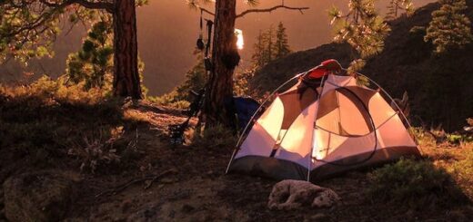 How to Set Up a Campsite for Maximum Comfort 2