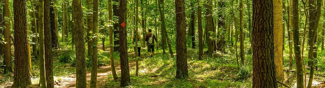 Best Backpacking Loops in North Carolina - Banner 3