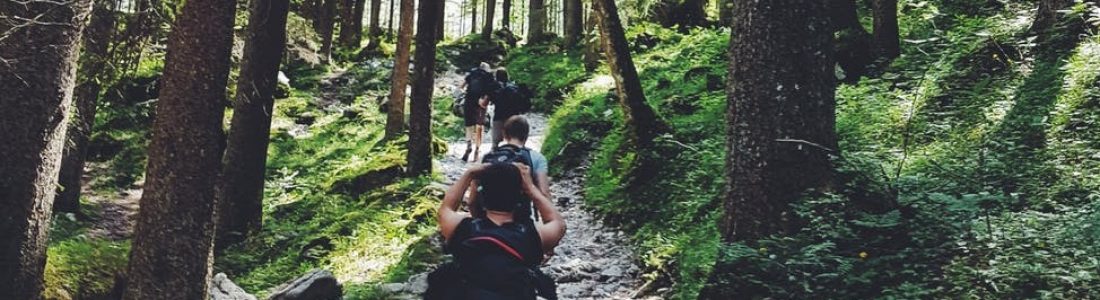 Best Hiking Places in the Bay Area - Banner 1