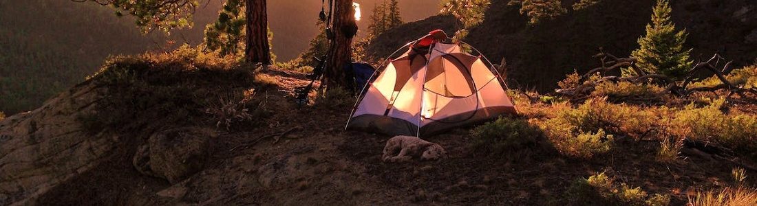 The Benefits of Camping in a National Park 4